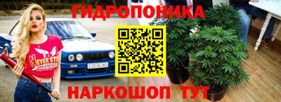 MESCALINE Гай