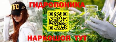 MESCALINE Гай