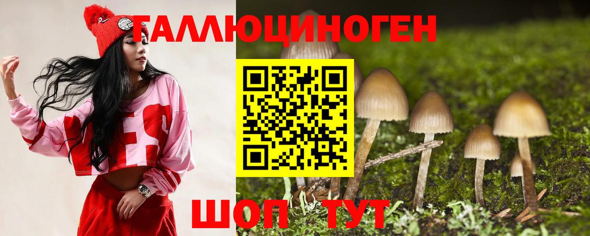 Псилоцибиновые грибы Cubensis Новоалтайск